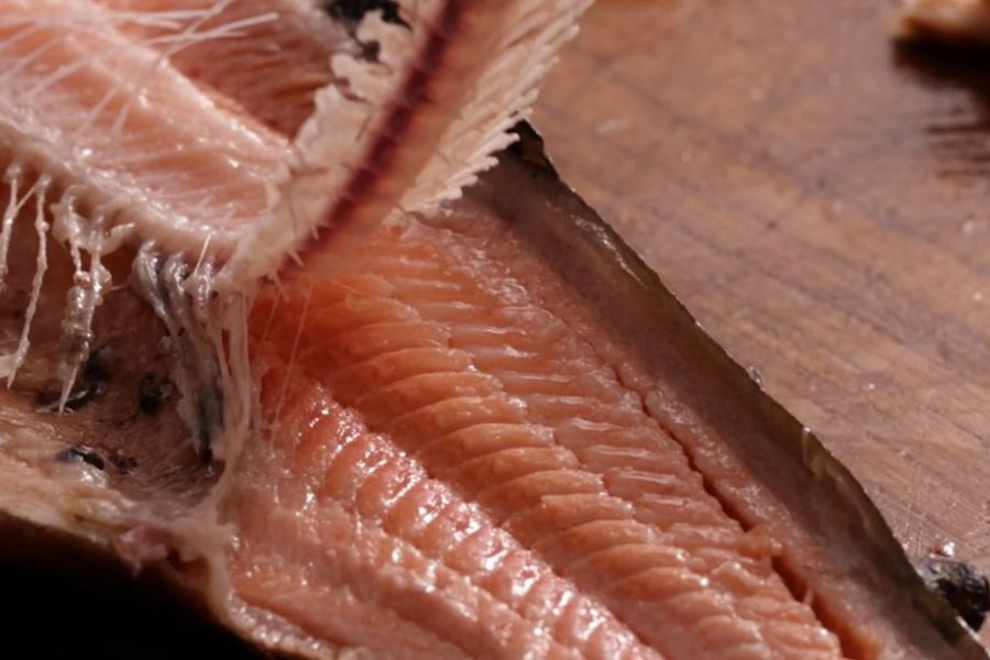 How To Fillet A Trout